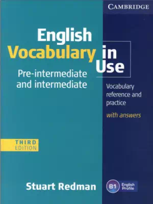 English Vocabulary in Use : Pre-Intermediate and Intermediate (3rd ed.)