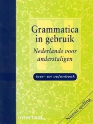 Grammatica in gebruik - Nederlands voor andersta
