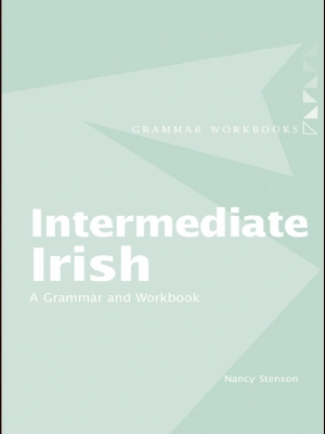 Intermediate Irish A Grammar and Workbook