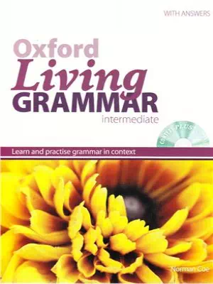 Living Grammar intermediate