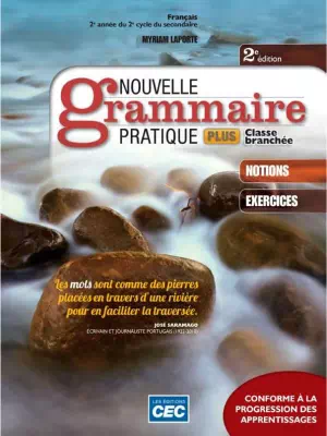Nouvelle grammaire pratique plus 4 (2e édition)
